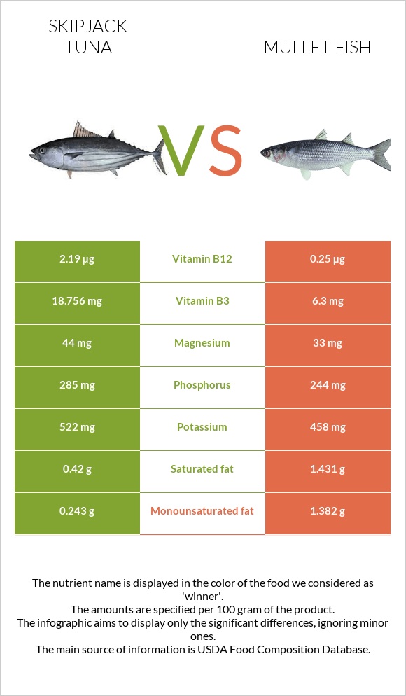 Skipjack tuna vs Mullet fish infographic