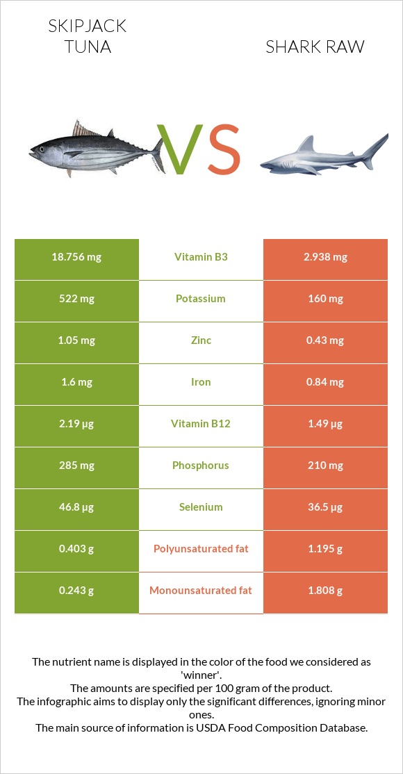 Գծավոր թունա vs Շնաձկներ հում infographic