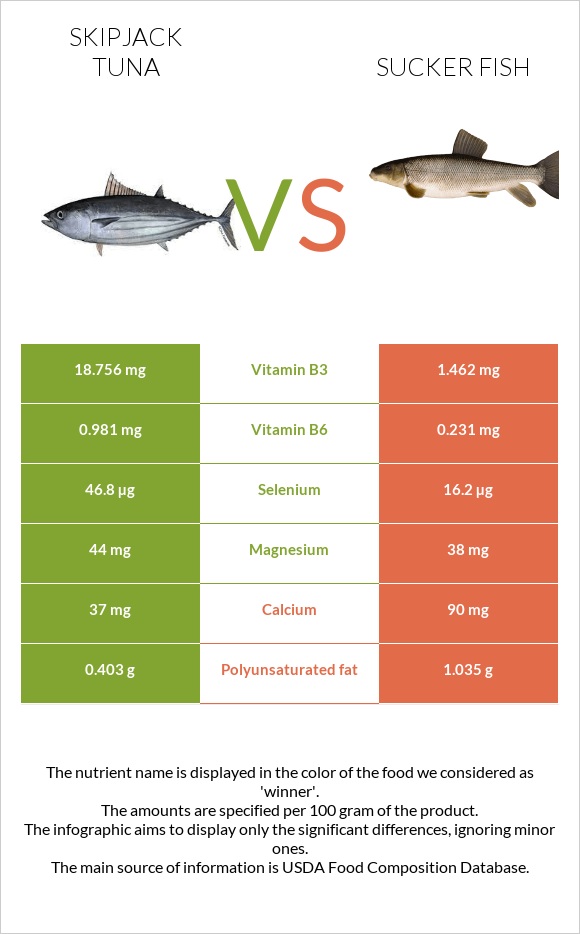 Գծավոր թունա vs Sucker fish infographic