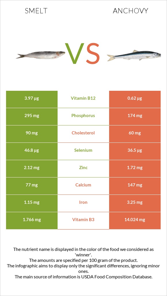 Smelt vs Anchovy infographic