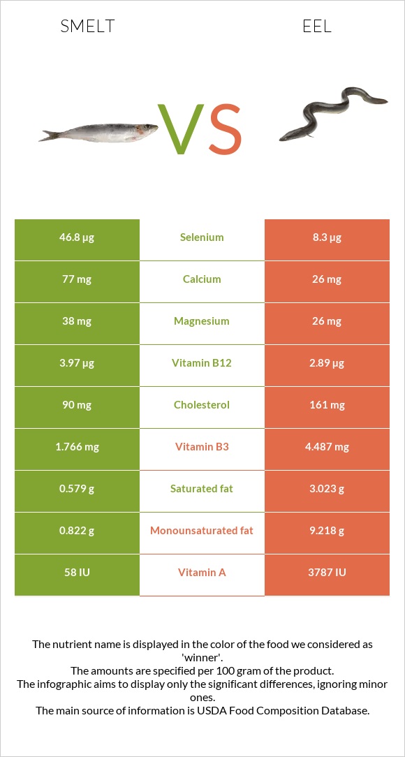 Smelt vs Eel infographic