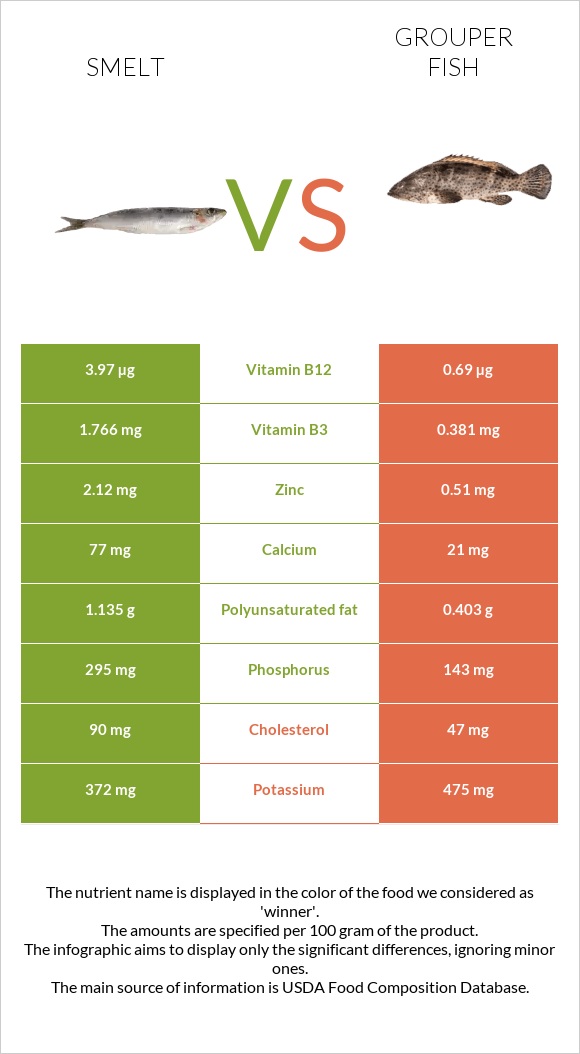 Smelt vs Grouper fish infographic