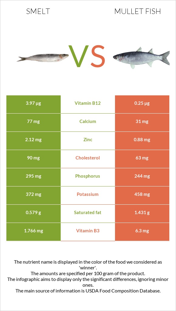 Smelt vs Mullet fish infographic