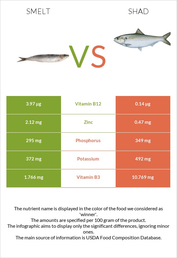 Smelt vs Shad infographic