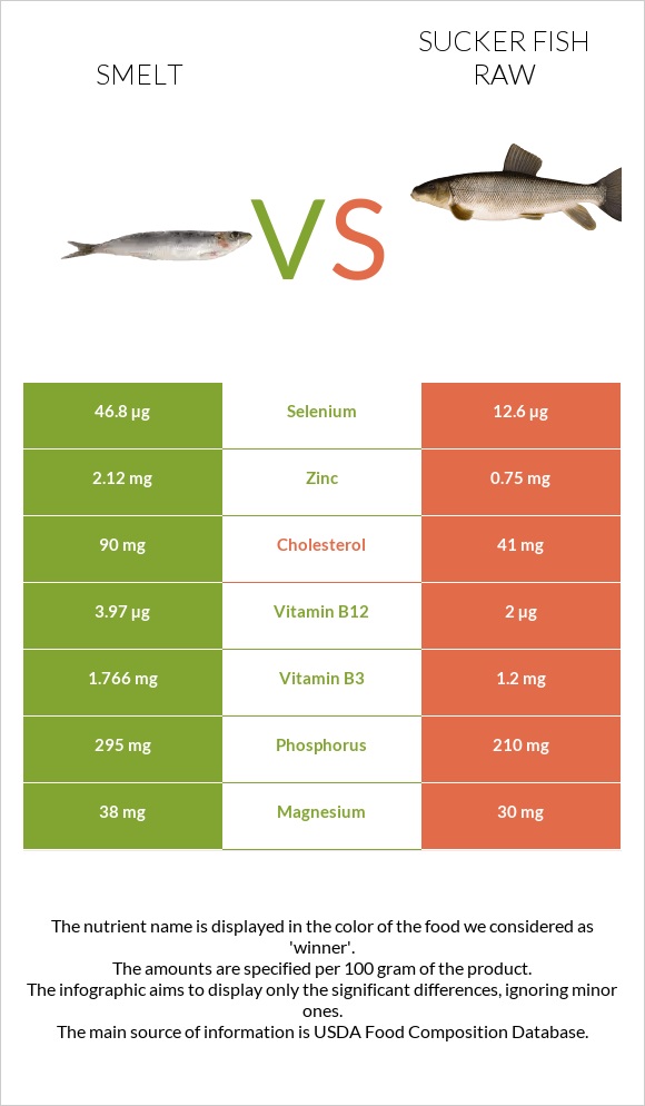 Smelt vs Sucker fish raw infographic