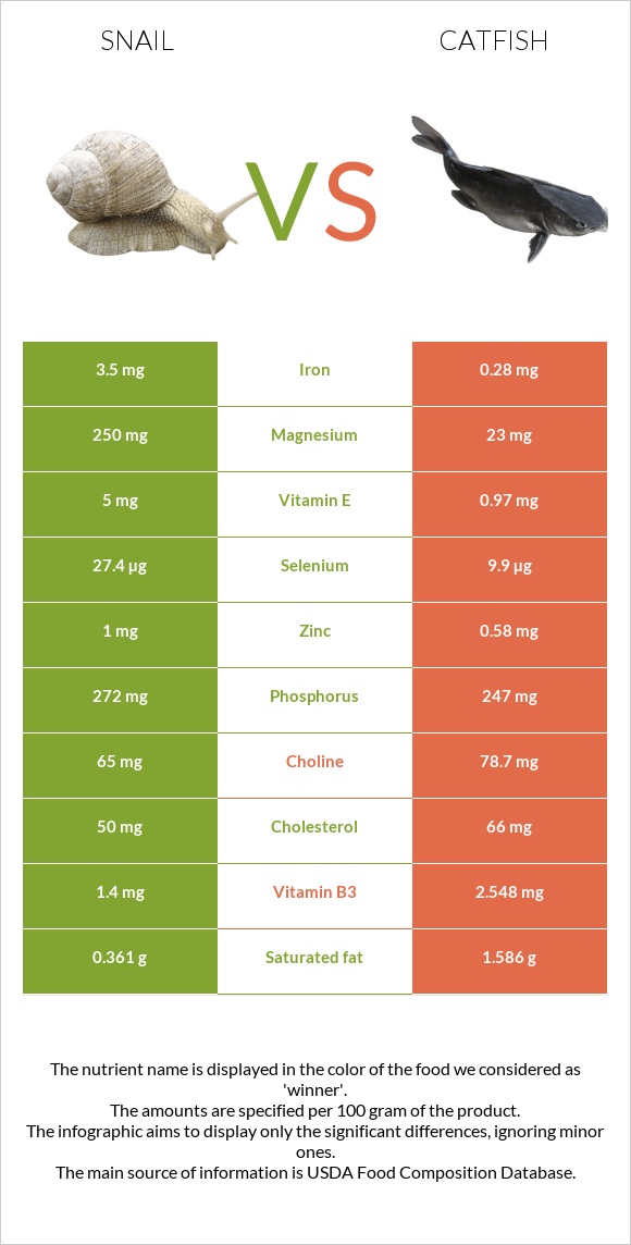 Խխունջ vs Catfish infographic