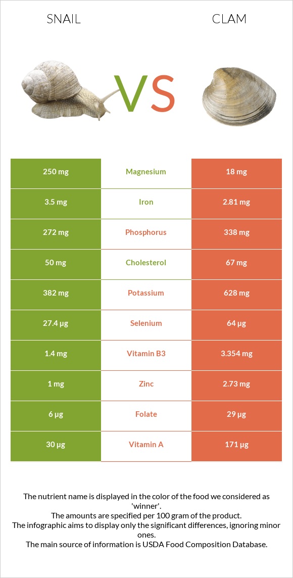 Snail vs Clam infographic