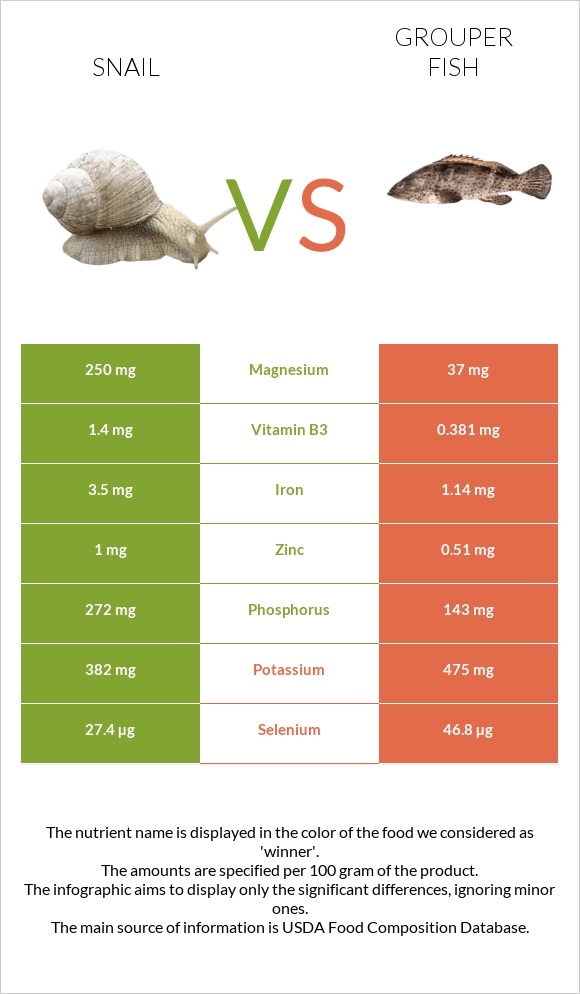 Խխունջ vs Grouper fish infographic