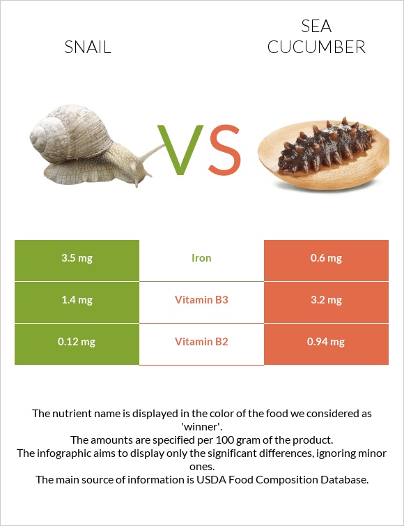 Snail vs Sea cucumber infographic