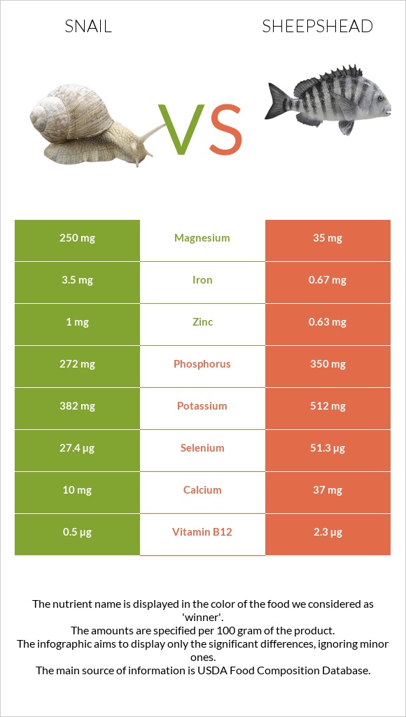 Snail vs Sheepshead infographic