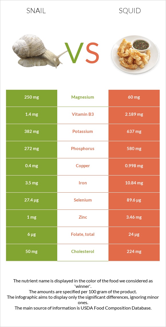 Snail vs Squid infographic