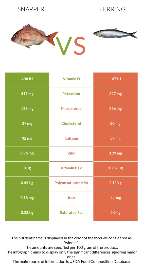 Snapper vs Herring infographic