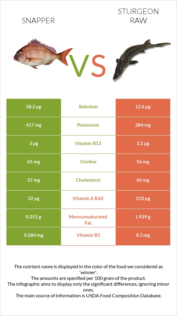 Snapper vs Sturgeon raw infographic