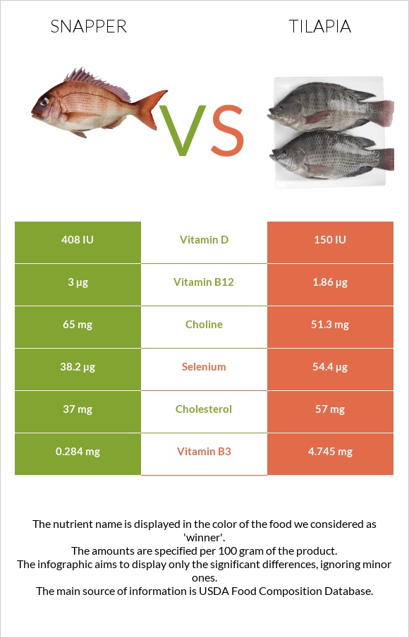 Snapper vs Tilapia infographic