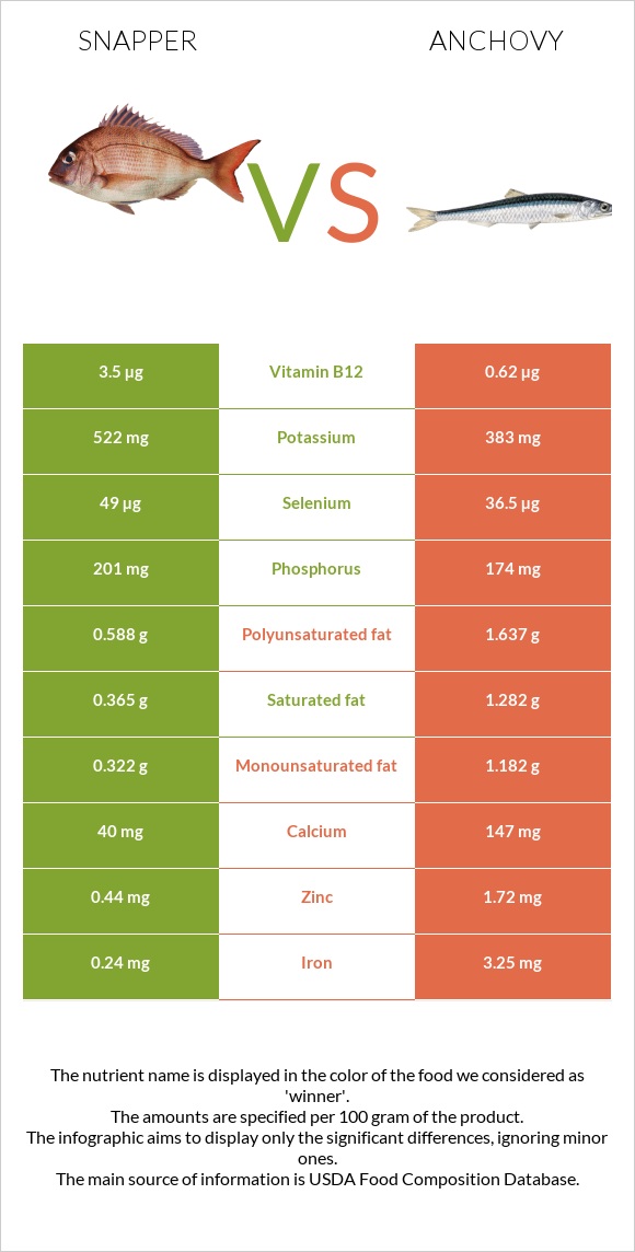 Snapper vs Anchovy infographic