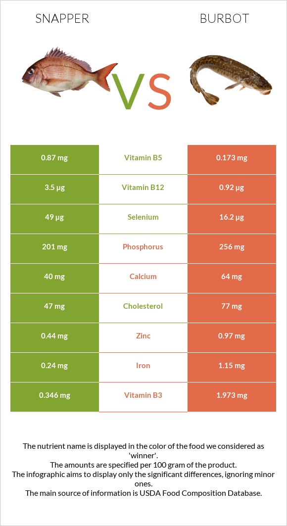 Snapper vs Burbot infographic