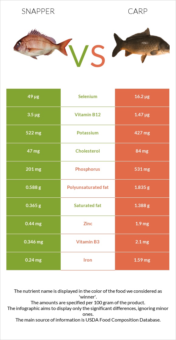 Snapper vs Carp infographic