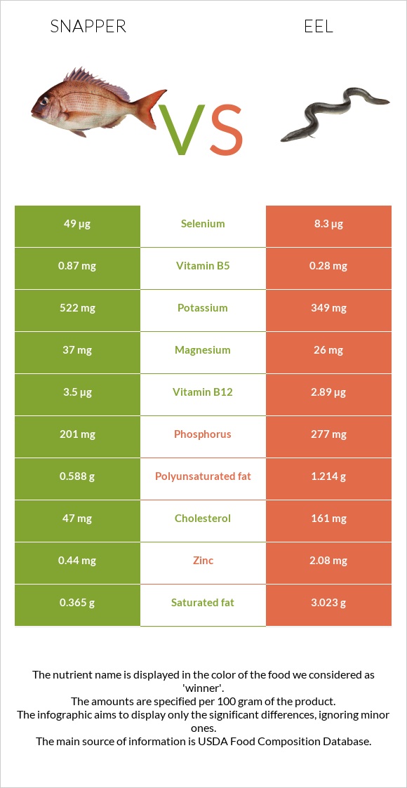 Snapper vs Eel infographic