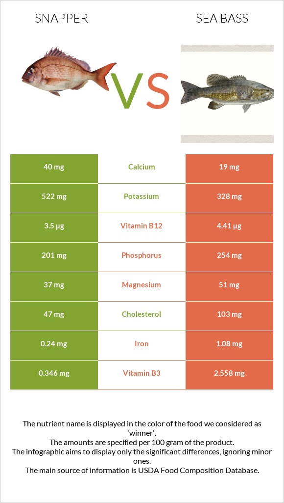 Snapper vs Bass infographic