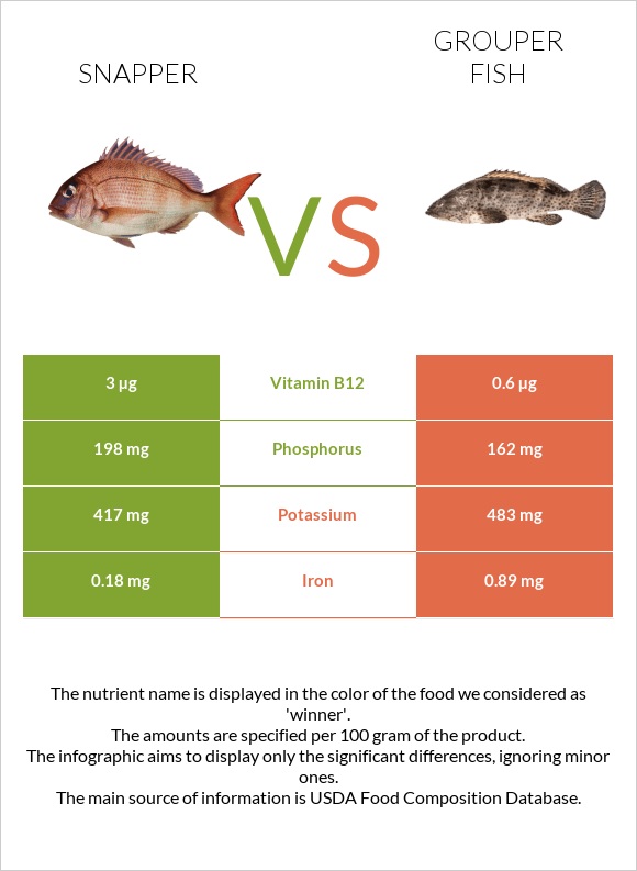 Snapper vs Grouper fish infographic