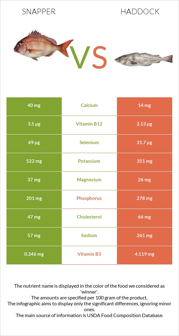 Snapper vs Haddock infographic