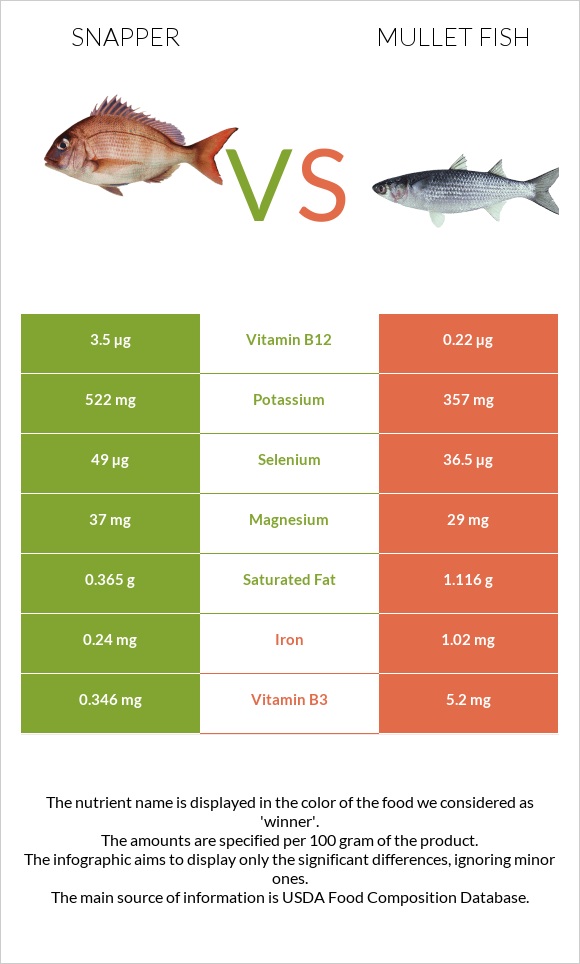 Snapper vs Mullet fish infographic
