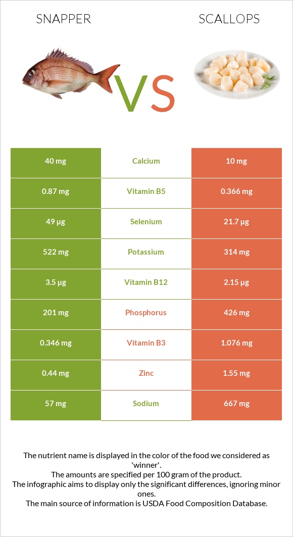 Snapper vs Scallop infographic