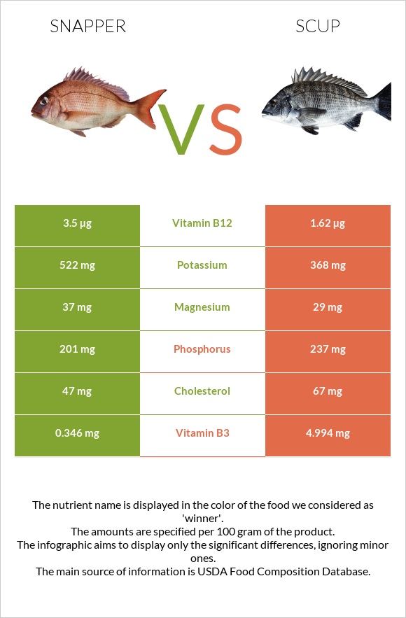 Snapper vs Scup infographic