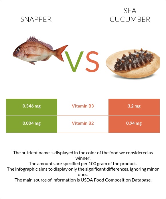 Snapper vs Sea cucumber infographic