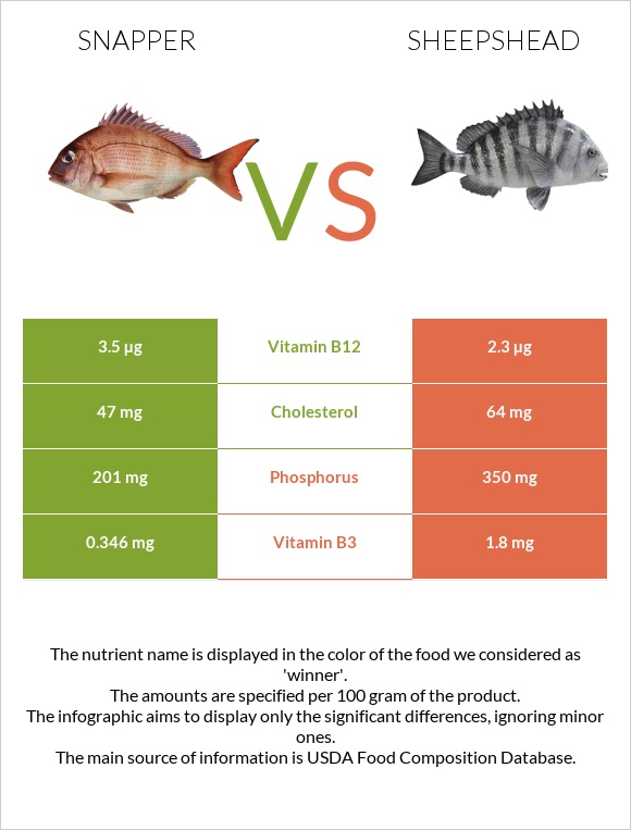 Snapper vs Sheepshead infographic