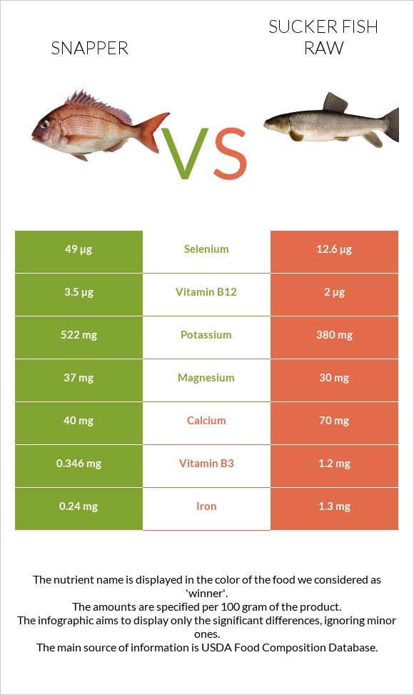 Snapper vs Sucker fish raw infographic