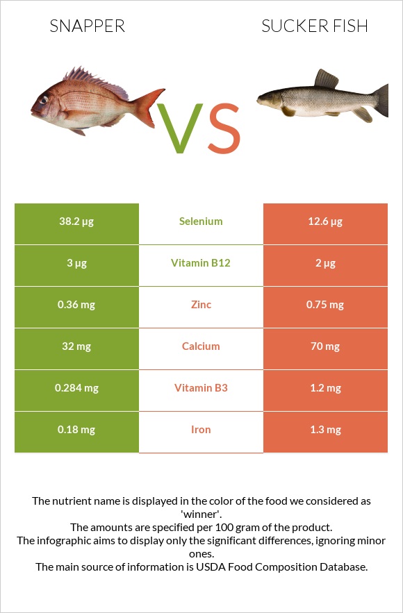Snapper vs Sucker fish infographic
