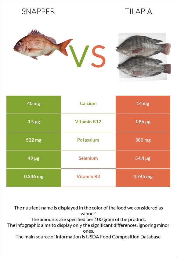 Snapper vs Tilapia infographic