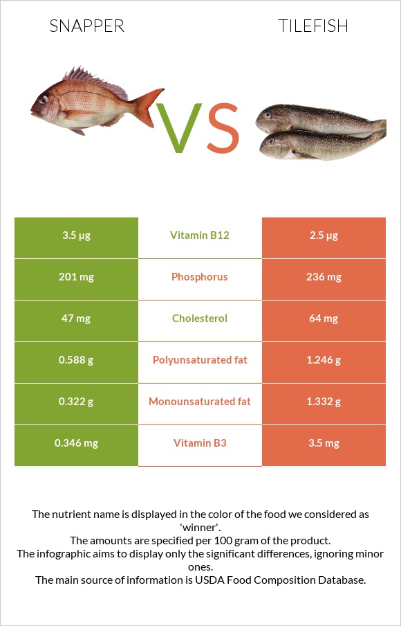 Snapper vs Tilefish infographic