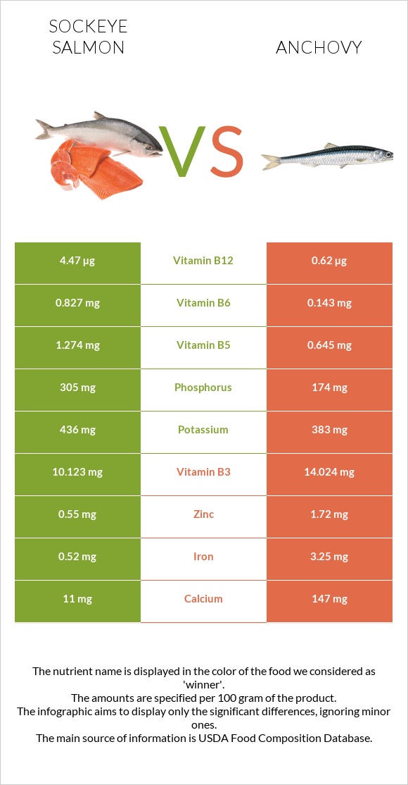 Կարմիր սաղմոն vs Anchovy infographic