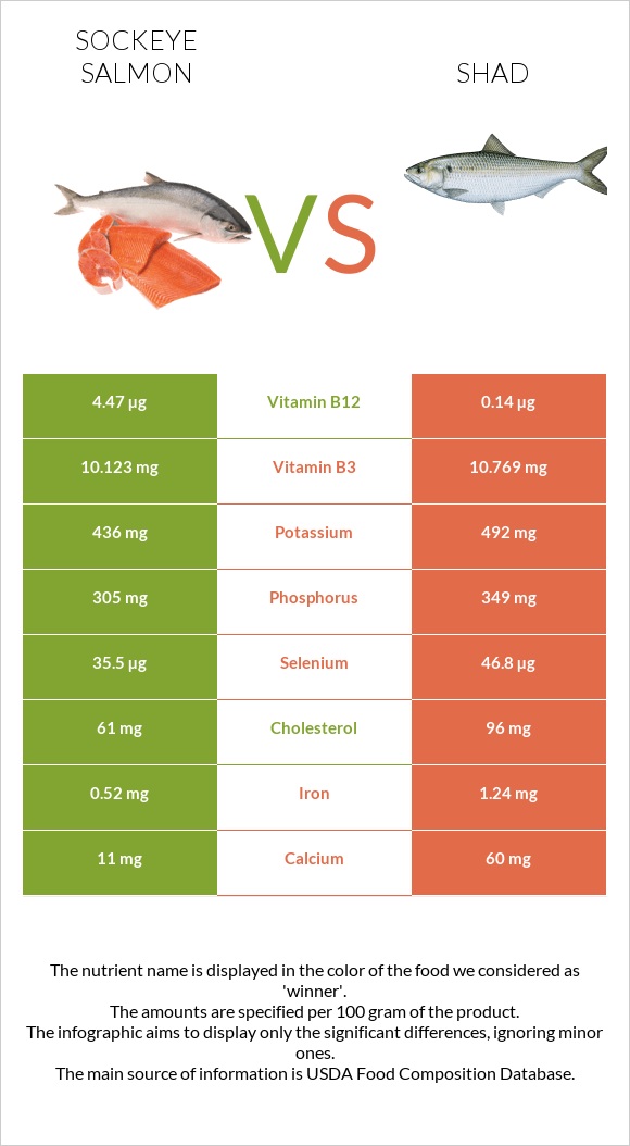 Կարմիր սաղմոն vs Shad infographic