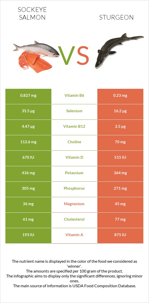 Կարմիր սաղմոն vs Sturgeon infographic