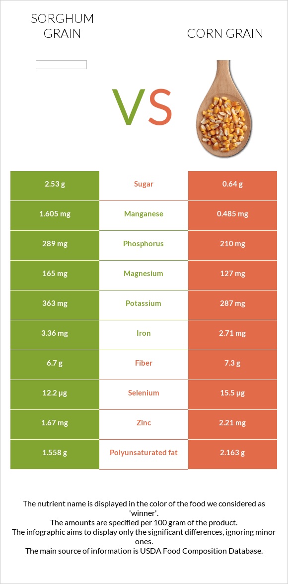 Sorghum grain vs Corn grain infographic