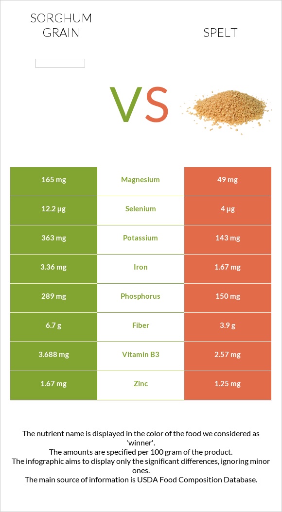 Sorghum grain vs Spelt infographic