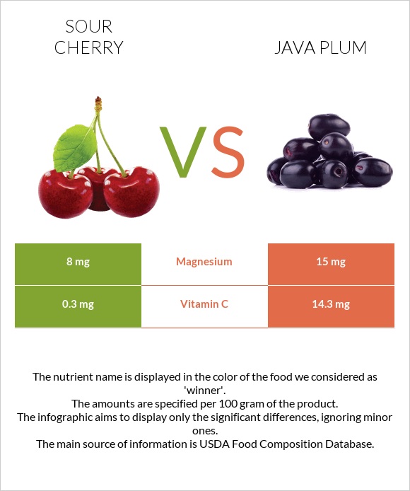 Sour cherry vs Java plum infographic