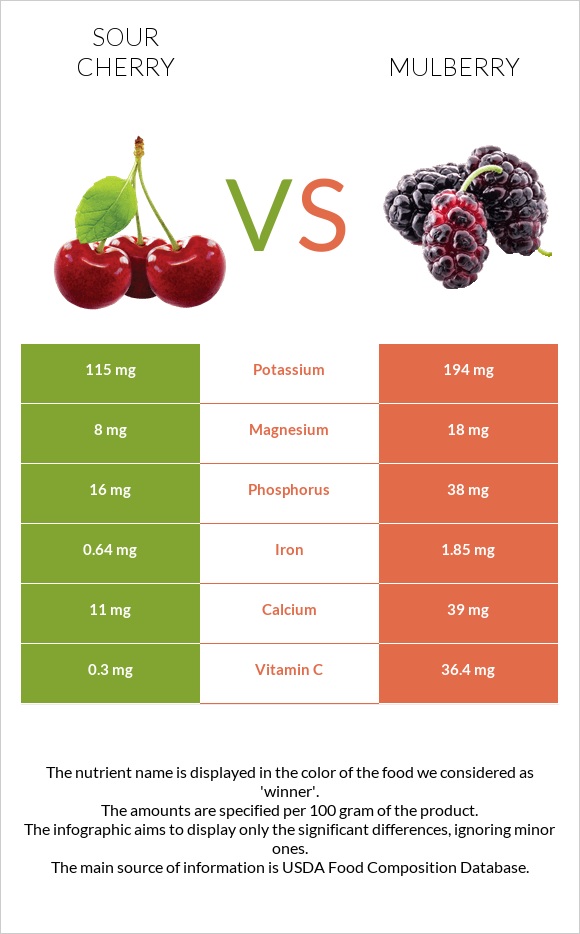 Sour cherry vs Mulberry infographic