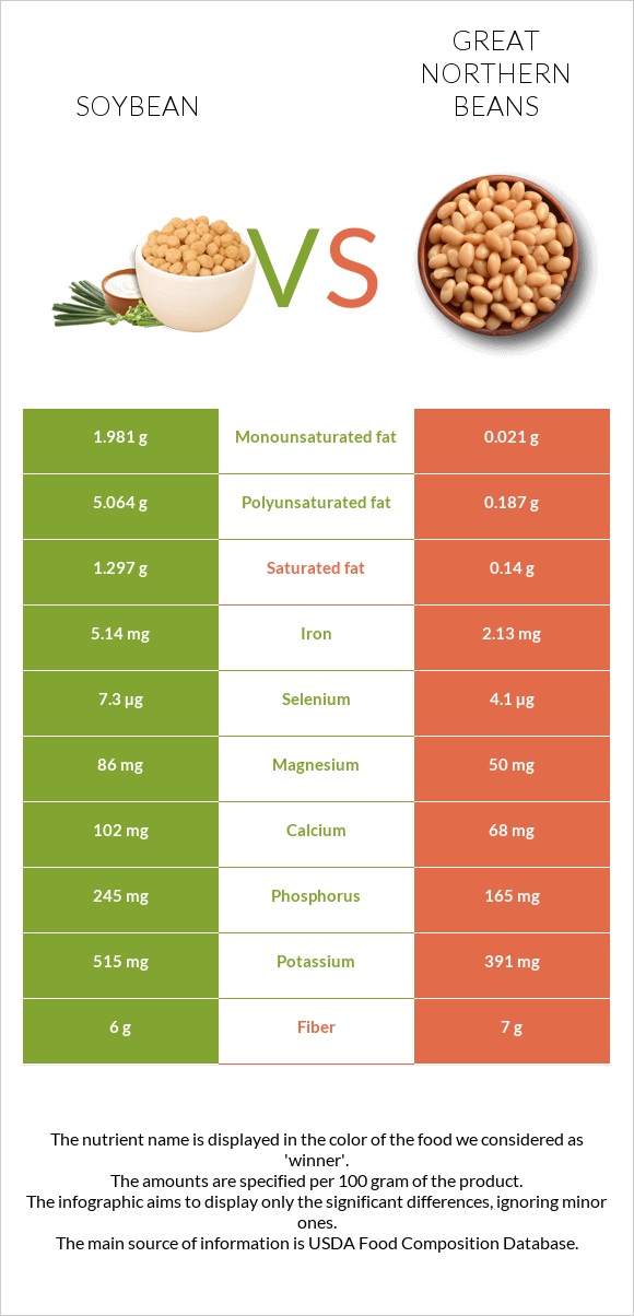 Soybean vs Great northern beans infographic