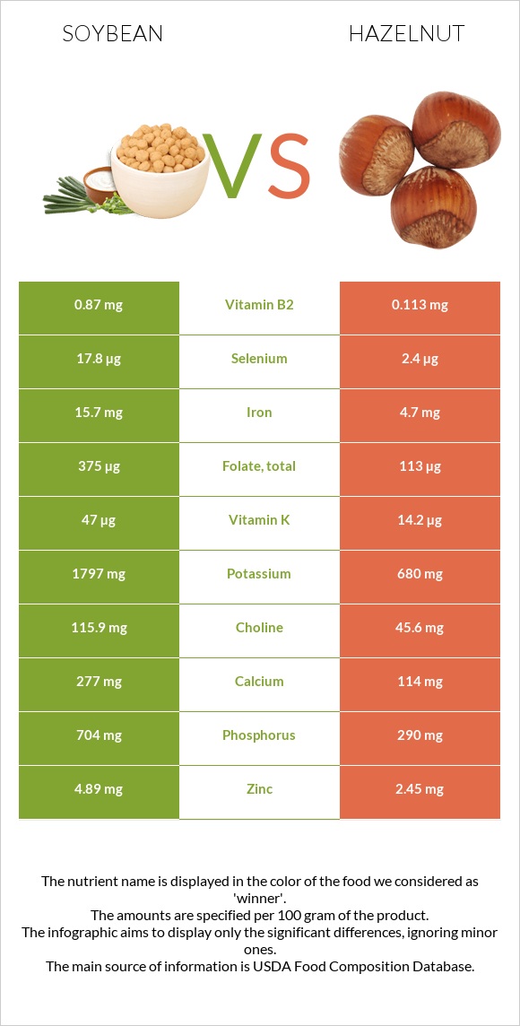 Soybean vs Hazelnut infographic