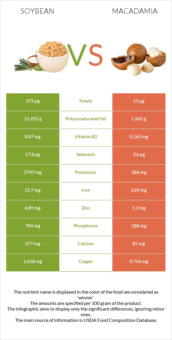 Soybean vs Macadamia infographic