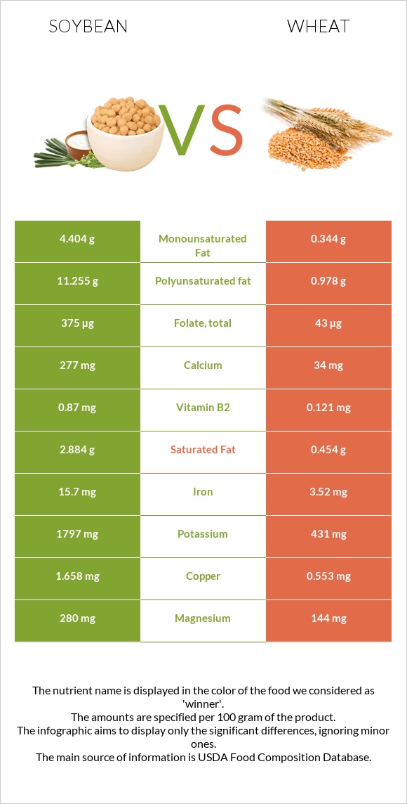 Soybean vs Wheat infographic