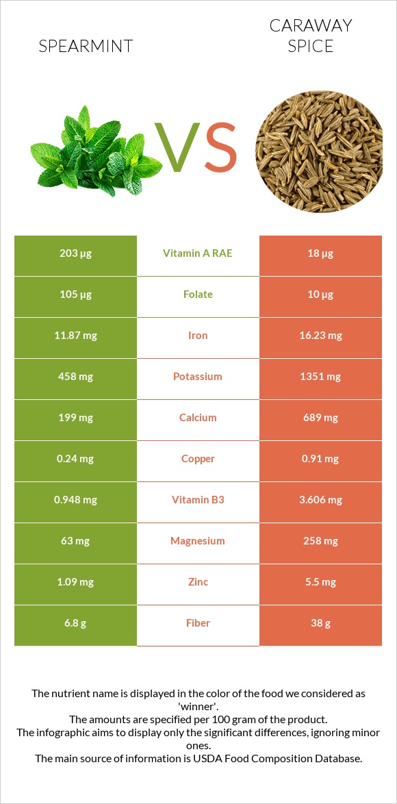 Spearmint vs Caraway spice infographic