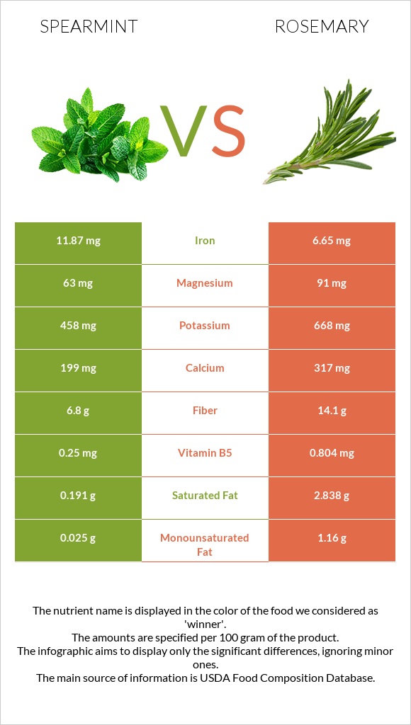 Spearmint vs Rosemary infographic