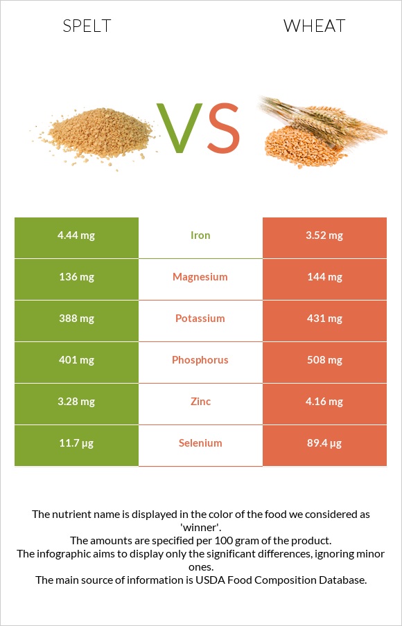 Spelt vs Wheat  infographic