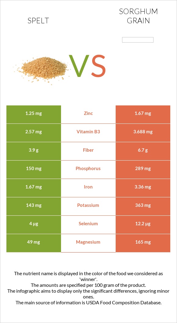 Spelt vs Sorghum grain infographic