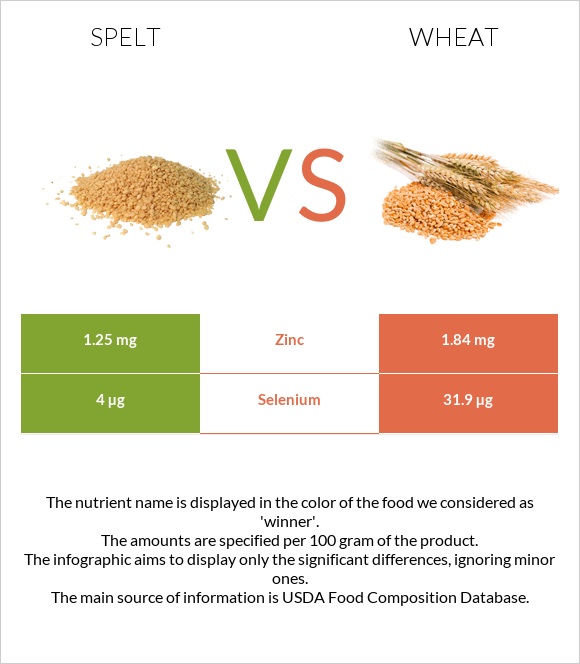 Spelt vs Wheat infographic